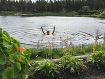 Lauri Kontkanen - voittaja!